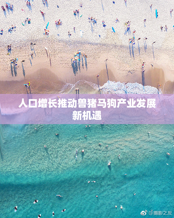 人口增长推动兽猪马狗产业发展新机遇