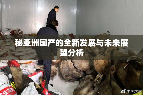 秘亚洲国产的全新发展与未来展望分析