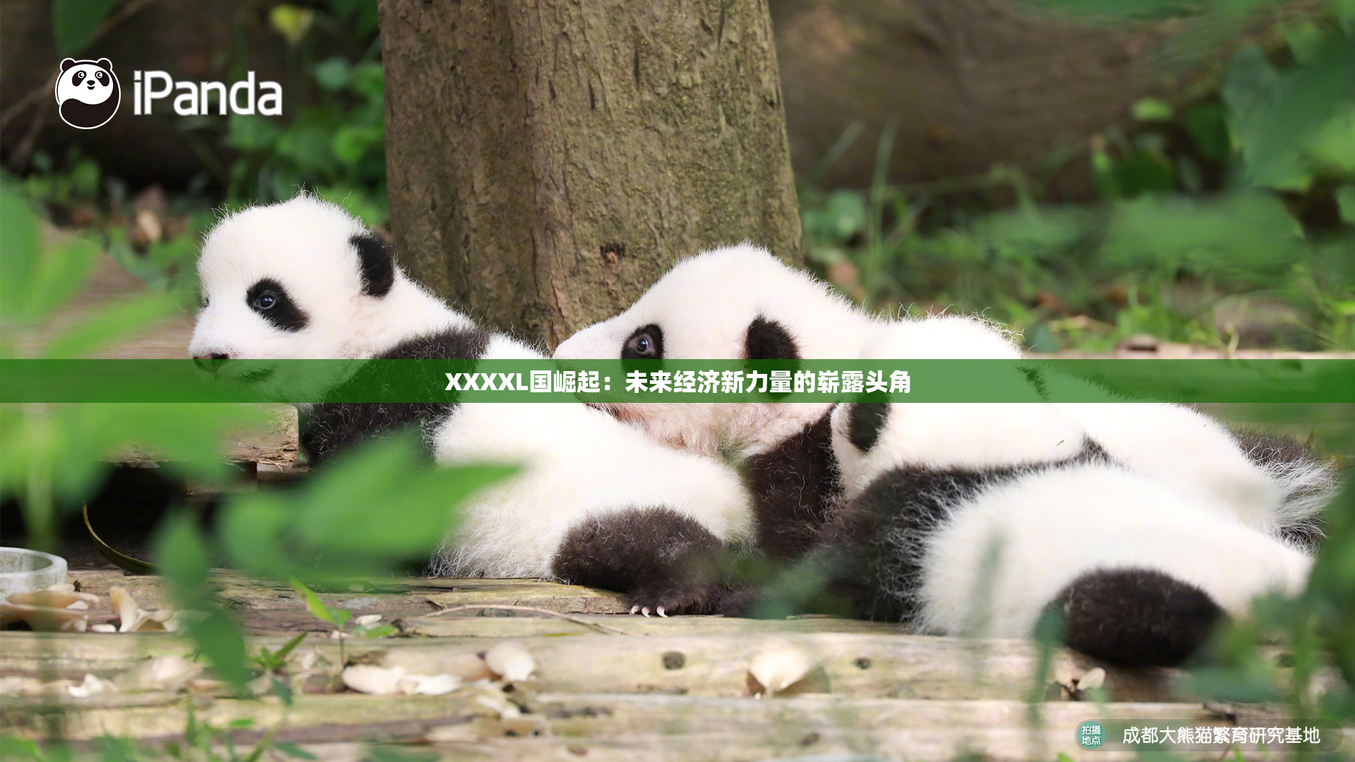 XXXXL国崛起：未来经济新力量的崭露头角