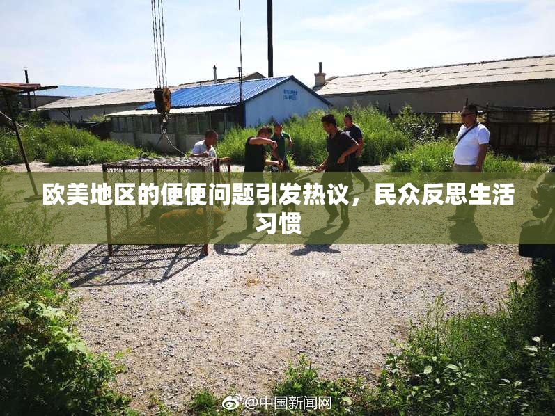 欧美地区的便便问题引发热议，民众反思生活习惯