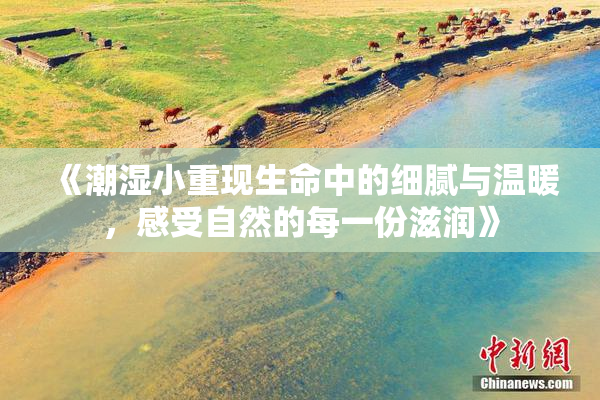 《潮湿小重现生命中的细腻与温暖，感受自然的每一份滋润》