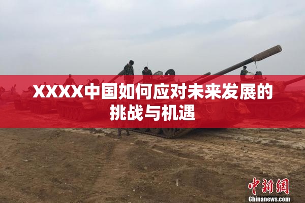 XXXX中国如何应对未来发展的挑战与机遇