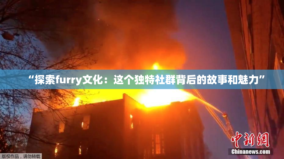 “探索furry文化：这个独特社群背后的故事和魅力”