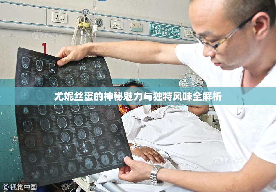 尤妮丝蛋的神秘魅力与独特风味全解析