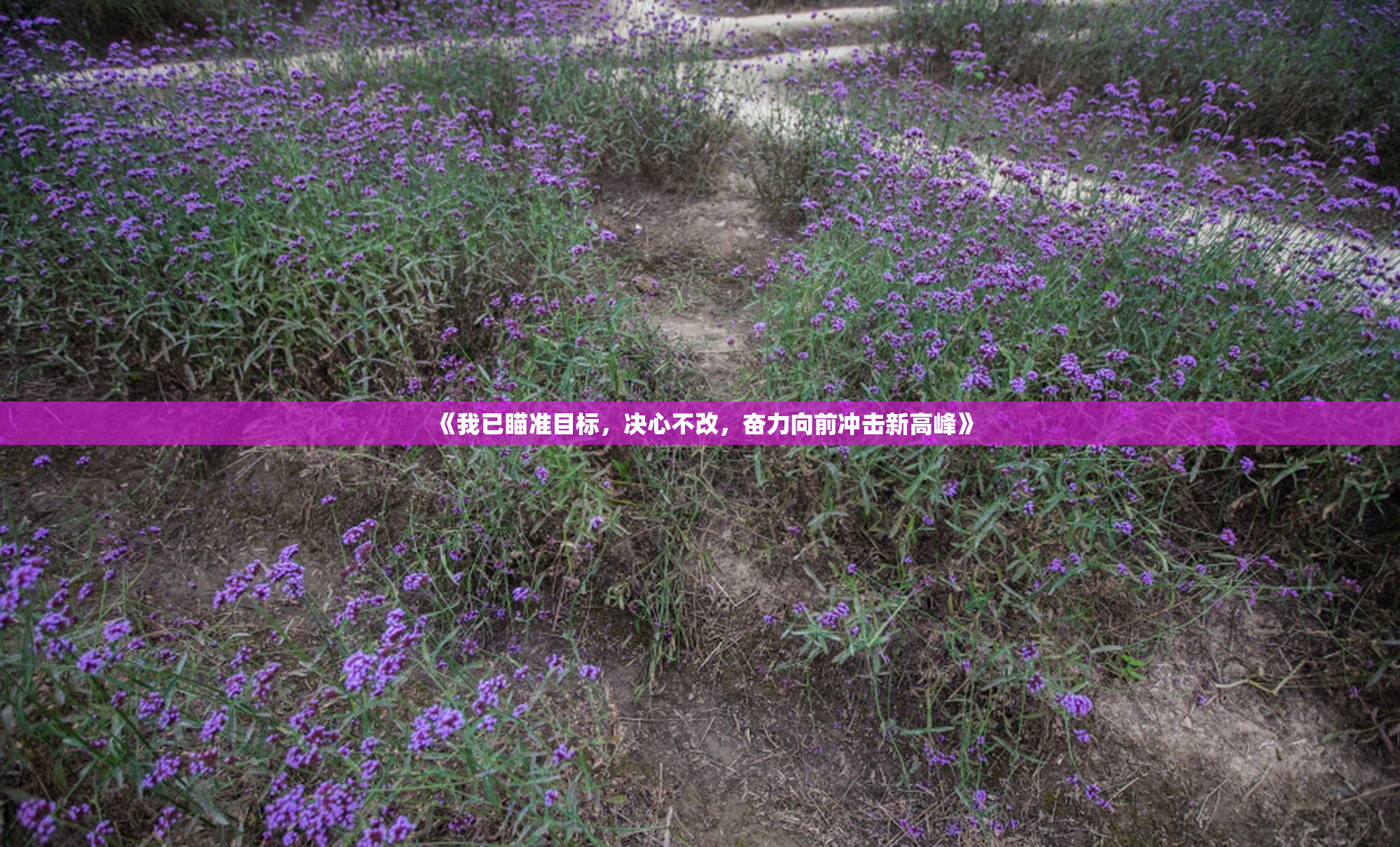 《我已瞄准目标，决心不改，奋力向前冲击新高峰》