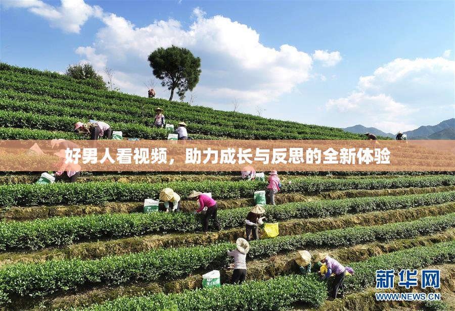 好男人看视频，助力成长与反思的全新体验