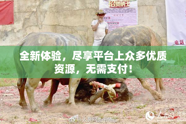 全新体验，尽享平台上众多优质资源，无需支付！