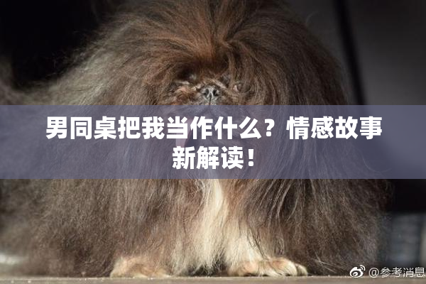 男同桌把我当作什么？情感故事新解读！