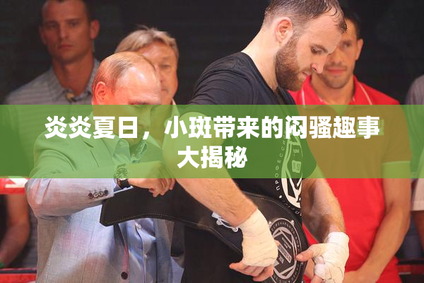 炎炎夏日，小斑带来的闷骚趣事大揭秘
