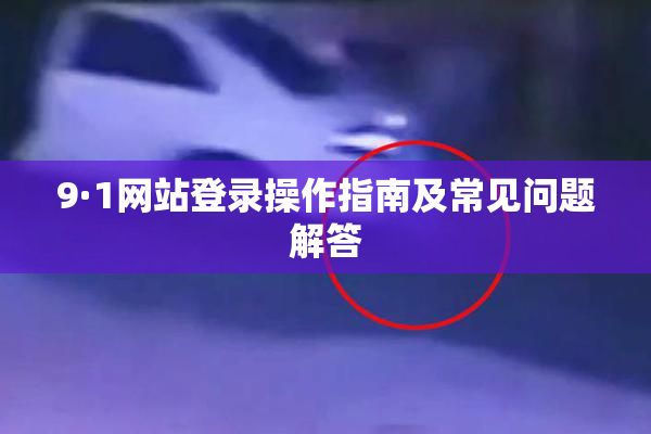 9·1网站登录操作指南及常见问题解答
