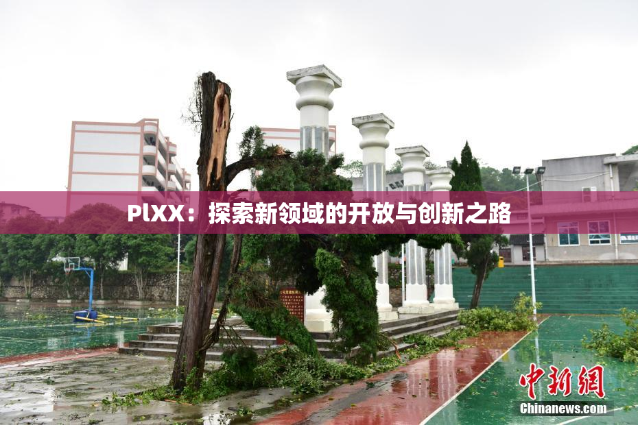 PlXX：探索新领域的开放与创新之路