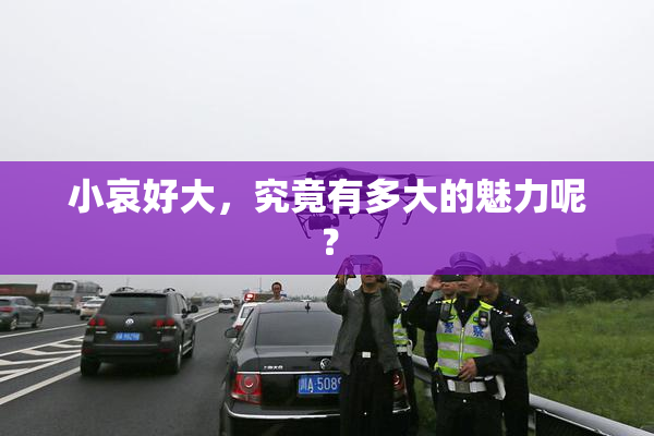小哀好大，究竟有多大的魅力呢？