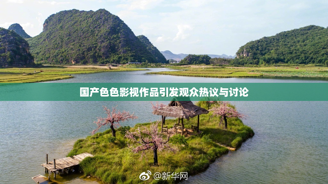 国产色色影视作品引发观众热议与讨论