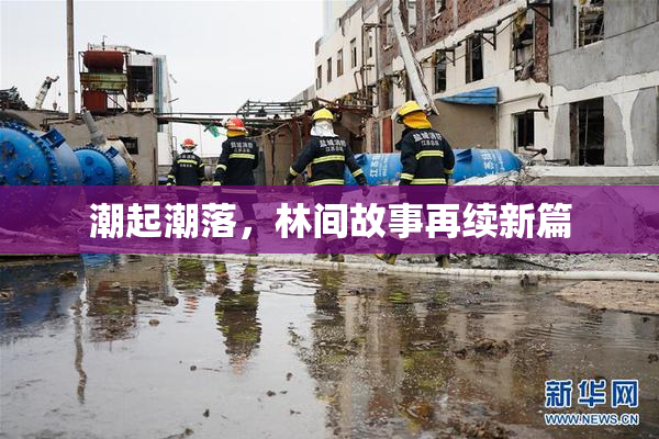 潮起潮落，林间故事再续新篇