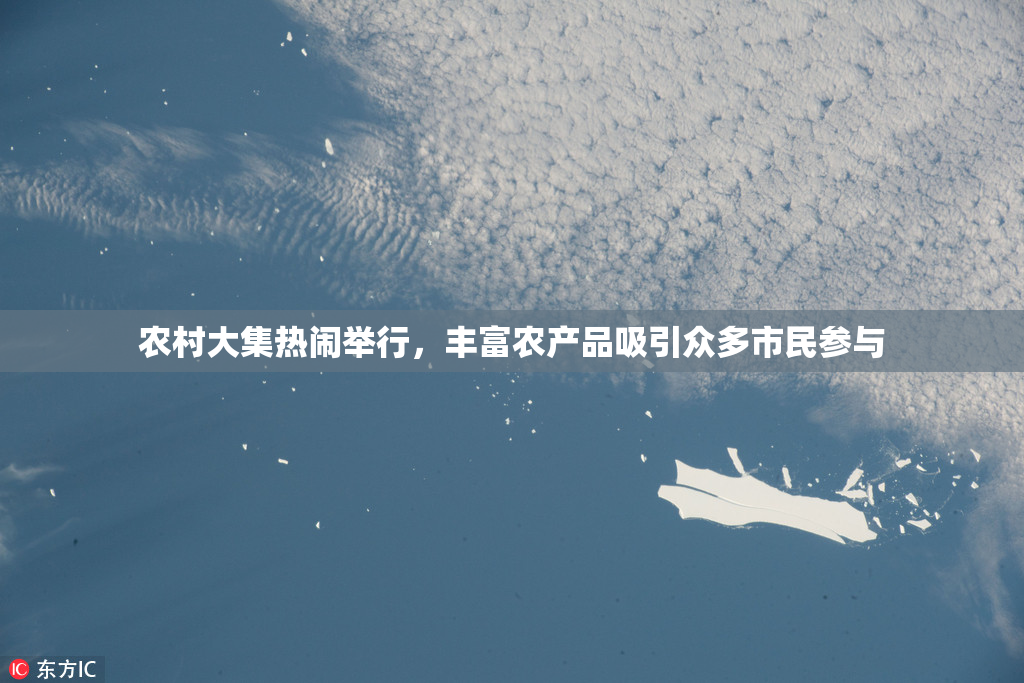 农村大集热闹举行，丰富农产品吸引众多市民参与
