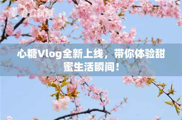 心糖Vlog全新上线，带你体验甜蜜生活瞬间！