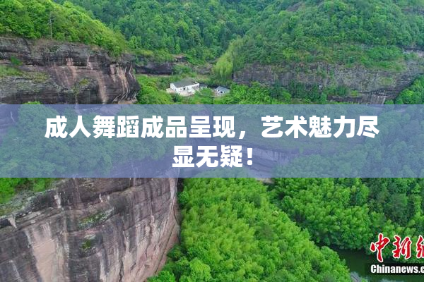 成人舞蹈成品呈现，艺术魅力尽显无疑！