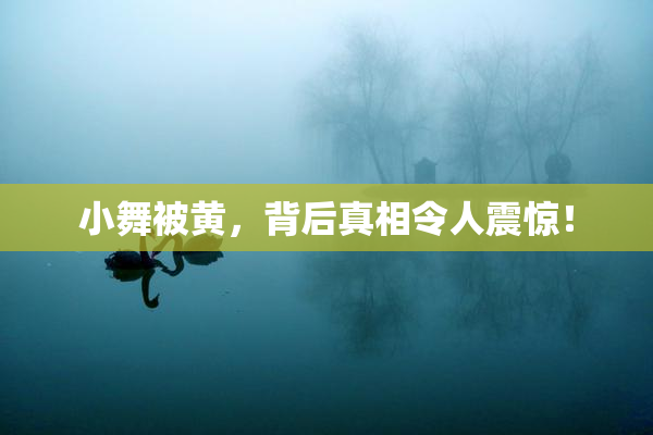 小舞被黄，背后真相令人震惊！