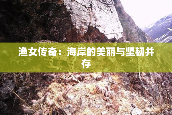 渔女传奇：海岸的美丽与坚韧并存