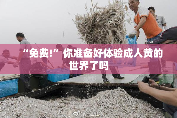 “免费!”你准备好体验成人黄的世界了吗