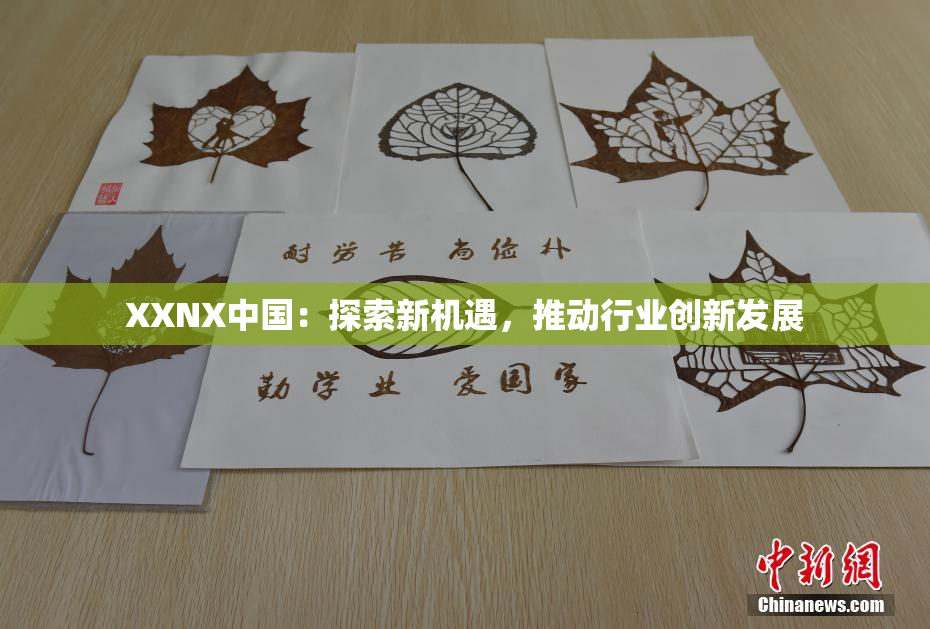 XXNX中国：探索新机遇，推动行业创新发展