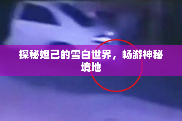 探秘妲己的雪白世界，畅游神秘境地