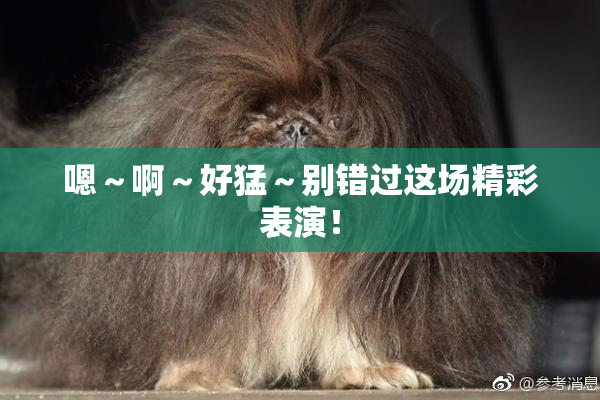 嗯～啊～好猛～别错过这场精彩表演！