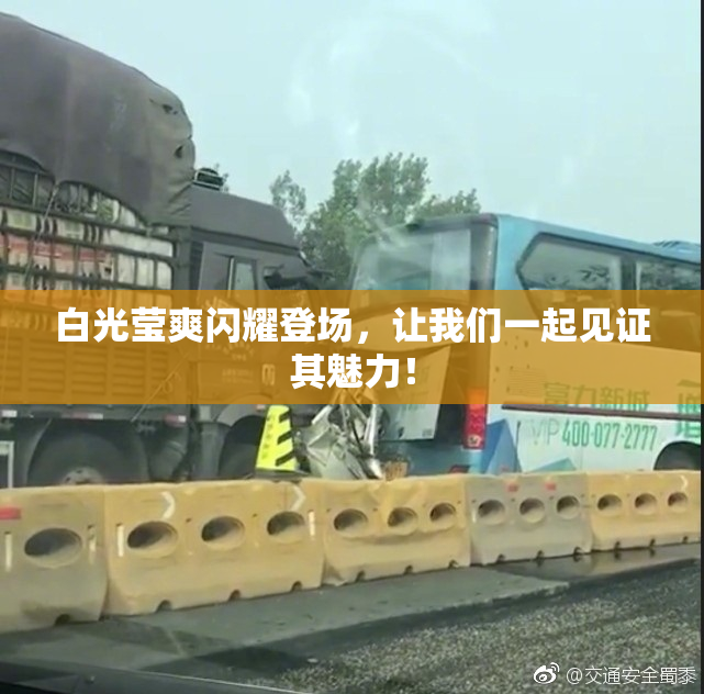 白光莹爽闪耀登场，让我们一起见证其魅力！