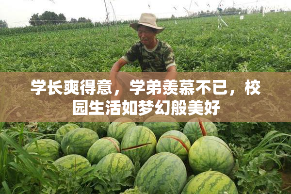 学长爽得意，学弟羡慕不已，校园生活如梦幻般美好