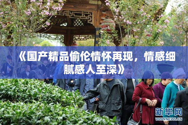 《国产精品偷伦情怀再现，情感细腻感人至深》