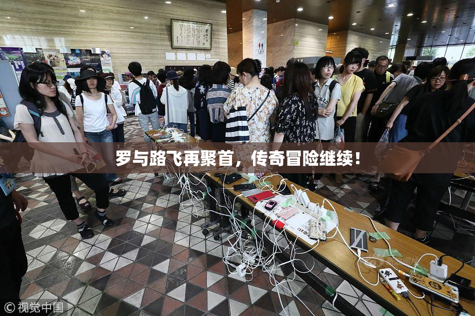 罗与路飞再聚首，传奇冒险继续！
