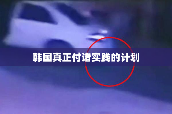 韩国真正付诸实践的计划