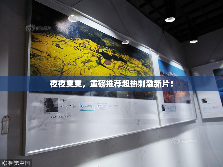 夜夜爽爽，重磅推荐超热刺激新片！