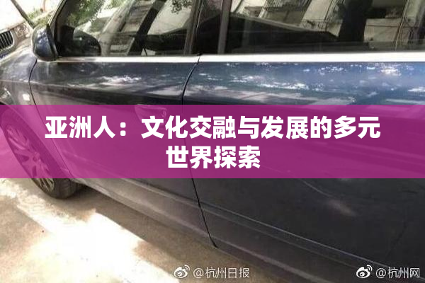 亚洲人：文化交融与发展的多元世界探索