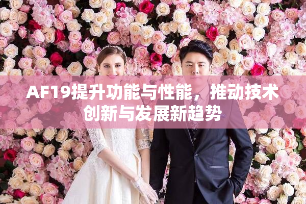 AF19提升功能与性能，推动技术创新与发展新趋势