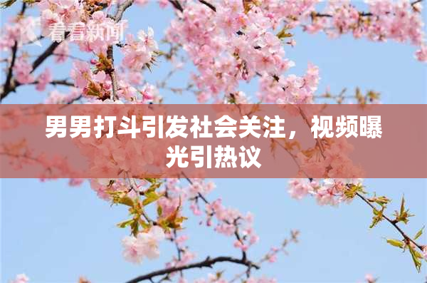 男男打斗引发社会关注，视频曝光引热议