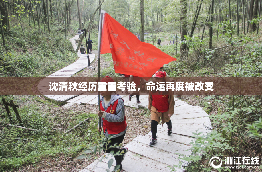 沈清秋经历重重考验，命运再度被改变