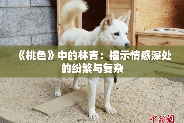 《桃色》中的林青：揭示情感深处的纷繁与复杂