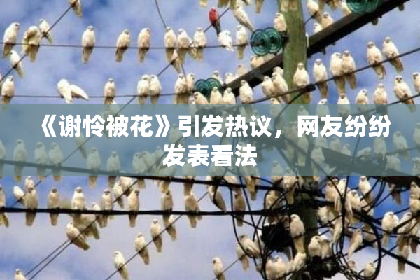 《谢怜被花》引发热议，网友纷纷发表看法