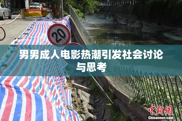 男男成人电影热潮引发社会讨论与思考