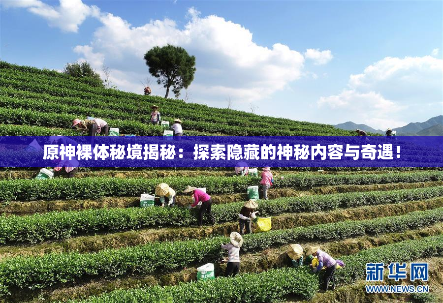 原神裸体秘境揭秘：探索隐藏的神秘内容与奇遇！