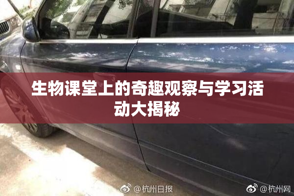 生物课堂上的奇趣观察与学习活动大揭秘