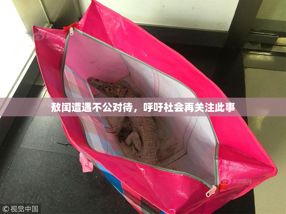 敖闰遭遇不公对待，呼吁社会再关注此事