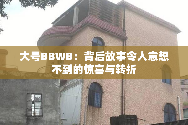 大号BBWB：背后故事令人意想不到的惊喜与转折