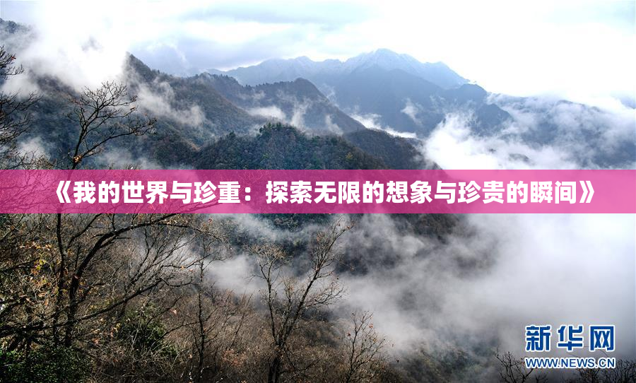 《我的世界与珍重：探索无限的想象与珍贵的瞬间》