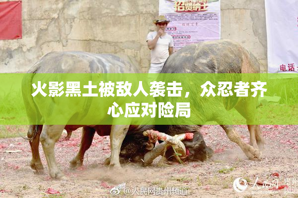 火影黑土被敌人袭击，众忍者齐心应对险局