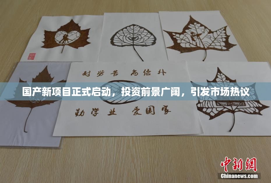 国产新项目正式启动，投资前景广阔，引发市场热议