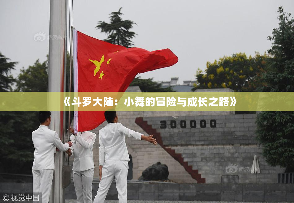 《斗罗大陆：小舞的冒险与成长之路》