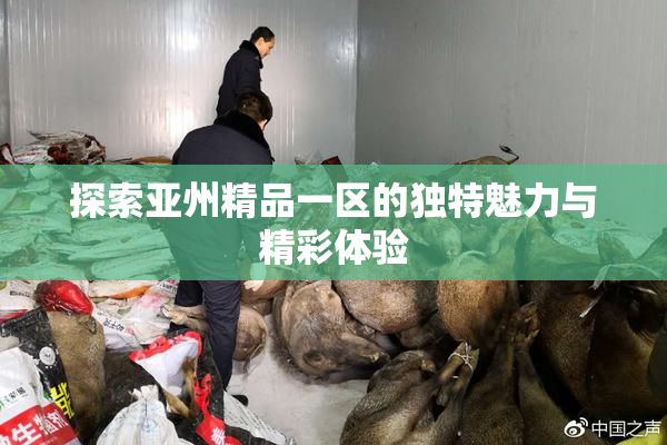 探索亚州精品一区的独特魅力与精彩体验
