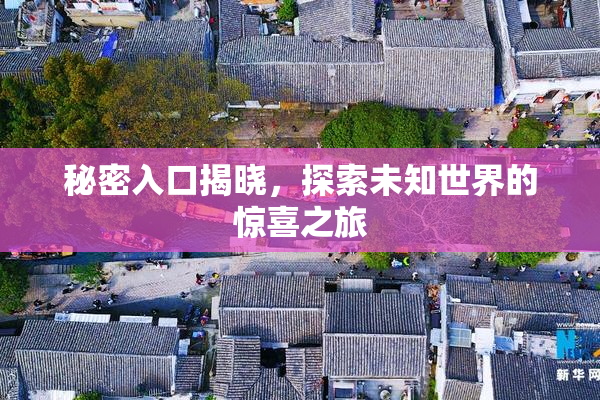 秘密入口揭晓，探索未知世界的惊喜之旅